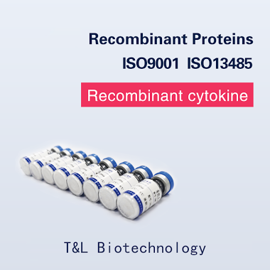 Recombinant Human IL-7 Protein Image