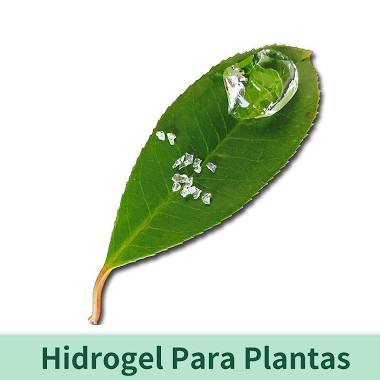Hidrogel Para Plantas Image